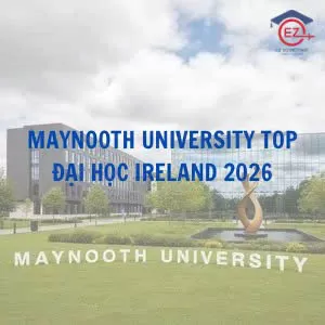 Maynooth University: Top Đại học Ireland 2026
