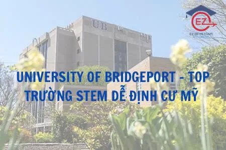 University of Bridgeport: Top trường STEM dễ định cư Mỹ