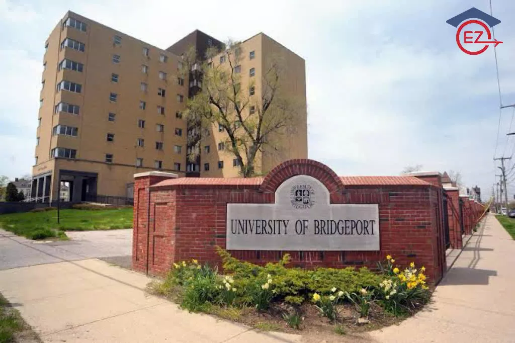 University of Bridgeport (Mỹ) – Học phí, học bổng, ngành học & chương trình STEM