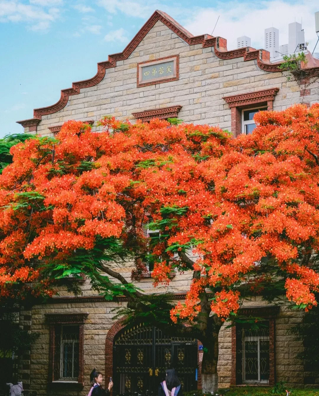 Khám phá ngôi trường nằm trong top đẹp nhất Trung Quốc