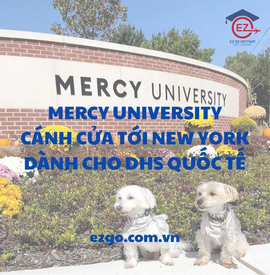 Mercy University – cánh cửa tới New York dành cho du học sinh quốc tế