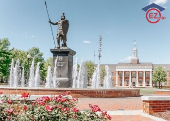 [Cập nhật] Thông tin quan trọng học bổng cho kỳ Fall/Spring 2024